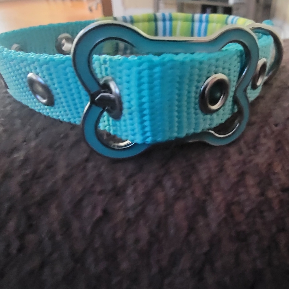 Blue Dog Collar Size 7.5 - 13.5